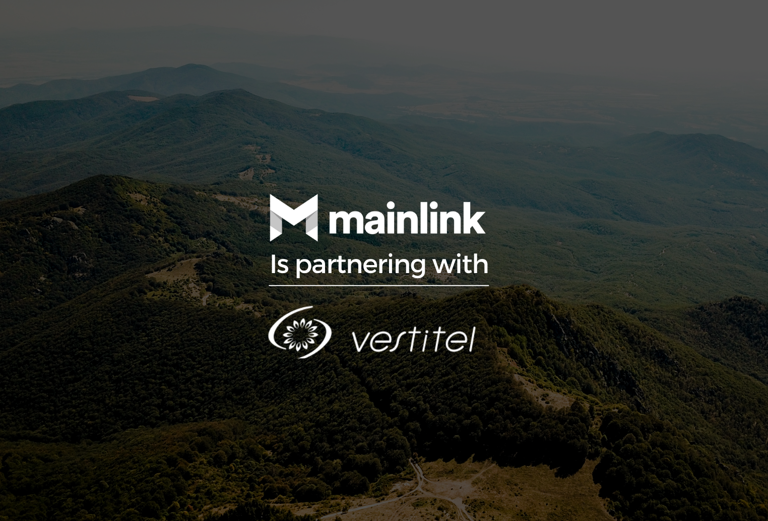 Zoomed Out | Mainlink Parterning with Vestitel with Logo | Mainlink in Tampa, FL & Vilnius
