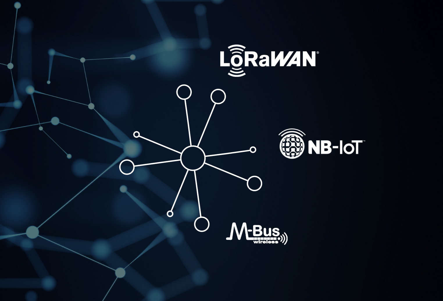 Network, used for submetering with LoRaWAN, NB-IoT, WMBuss logos