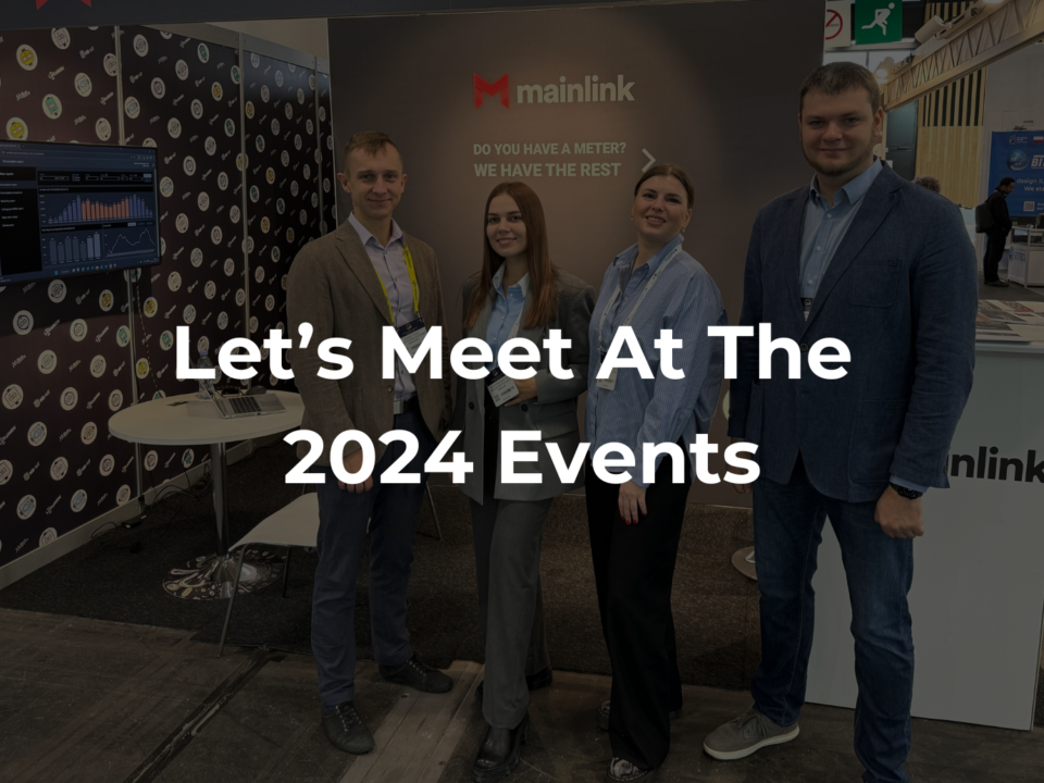 Photo of Mainlink Staff in the Event | Mainlink in Tampa, FL & Vilnius